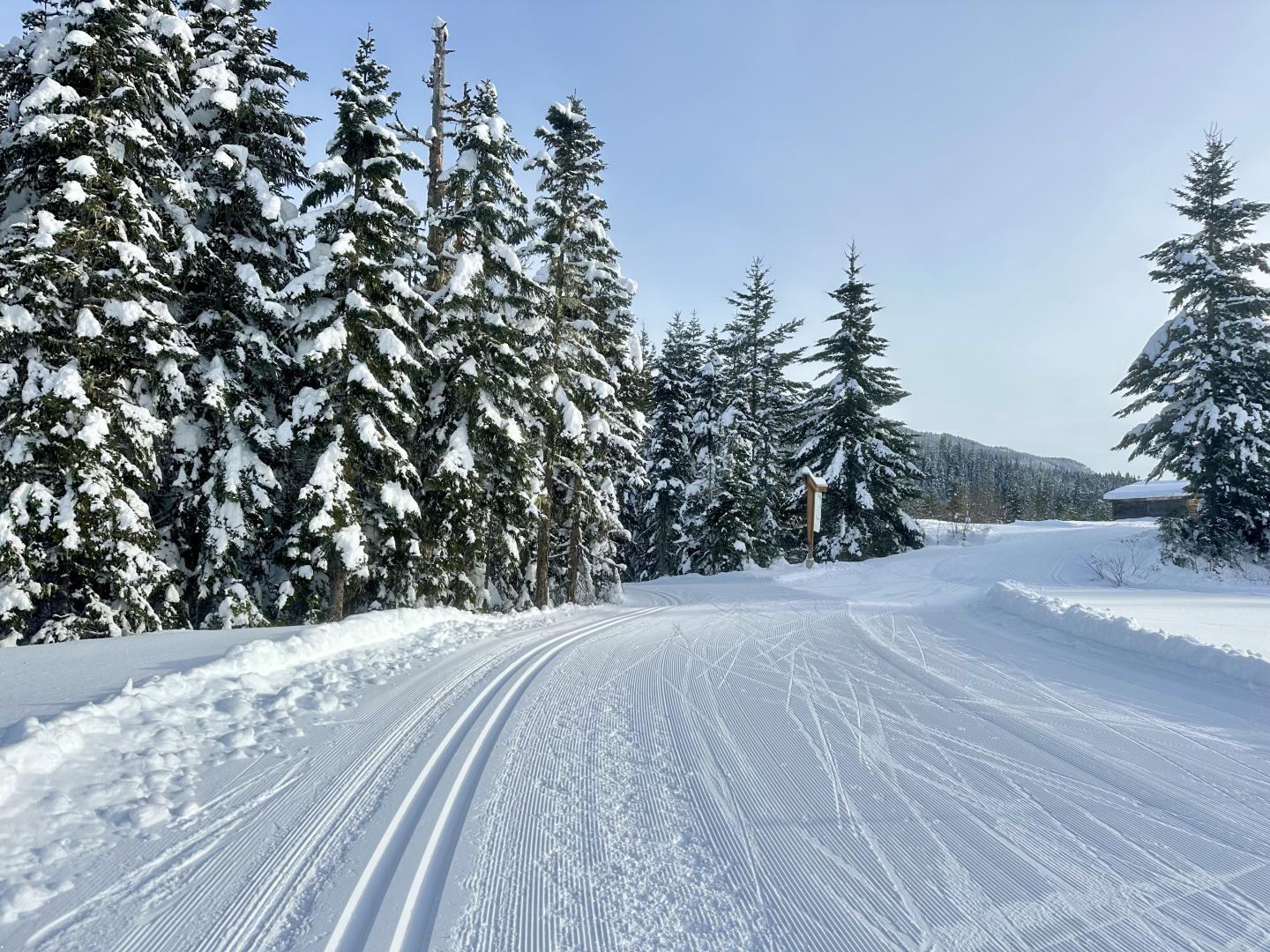 Whistler Olympic Park Cross Country Skiing 
