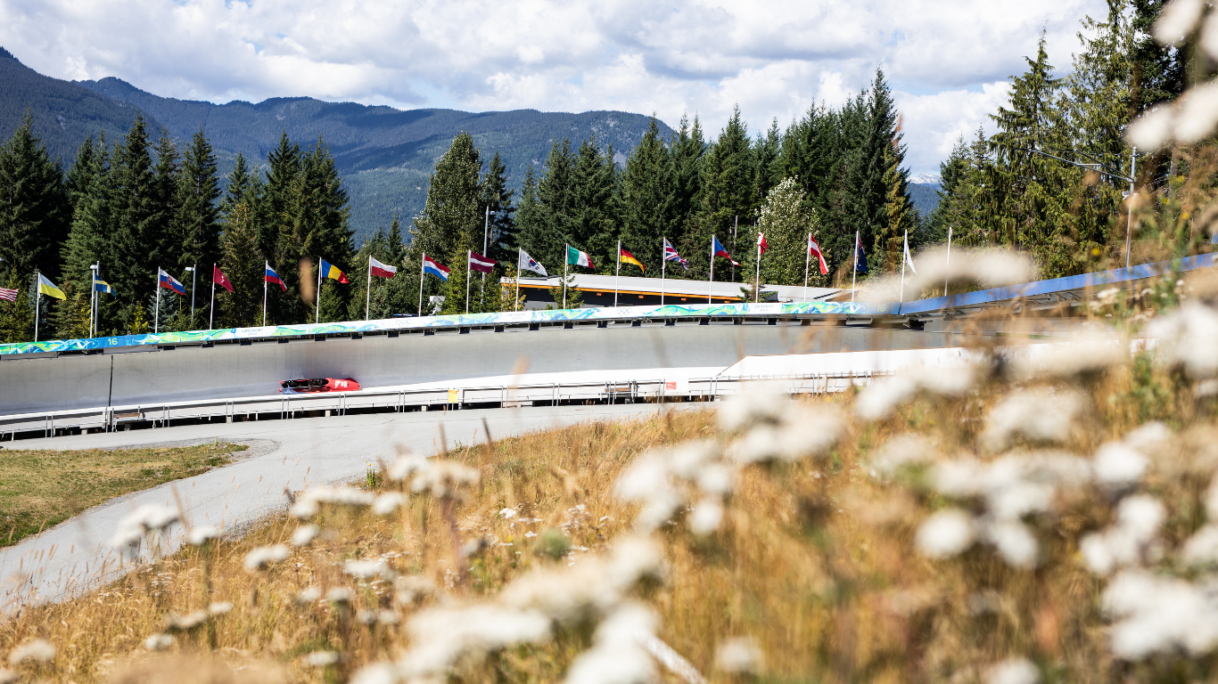 Bobsleigh track with a red sled, surrounded by forest and flags.