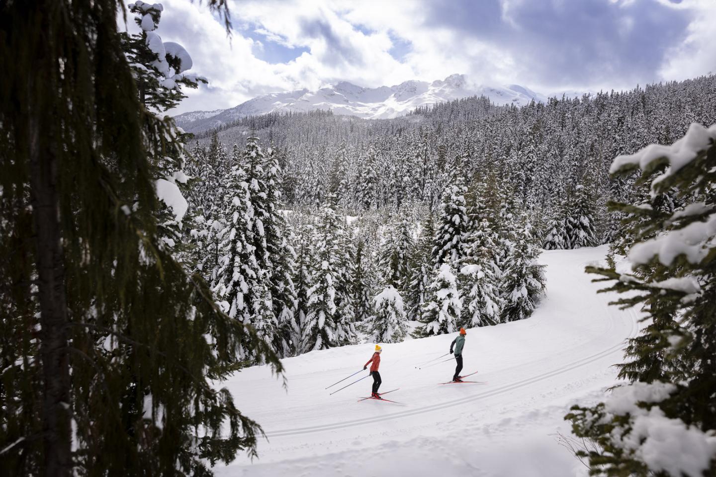 Two skiers descend a snowy mountain slope amid evergreen trees.